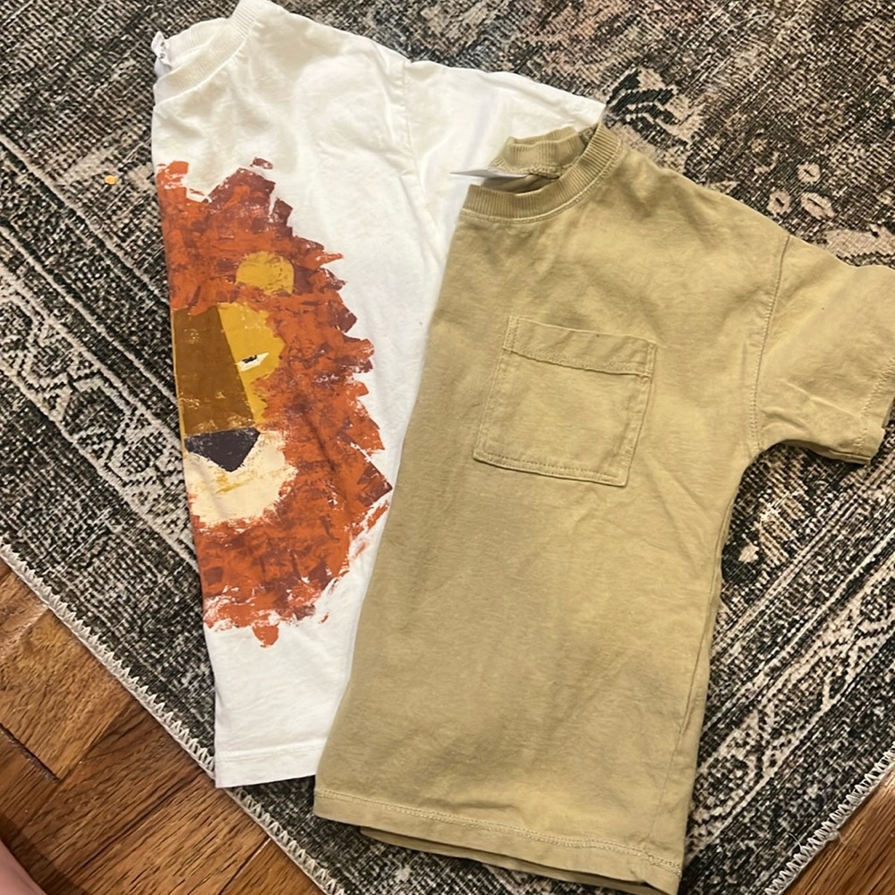 Zara boys short sleeve tees set of 2, 3/4